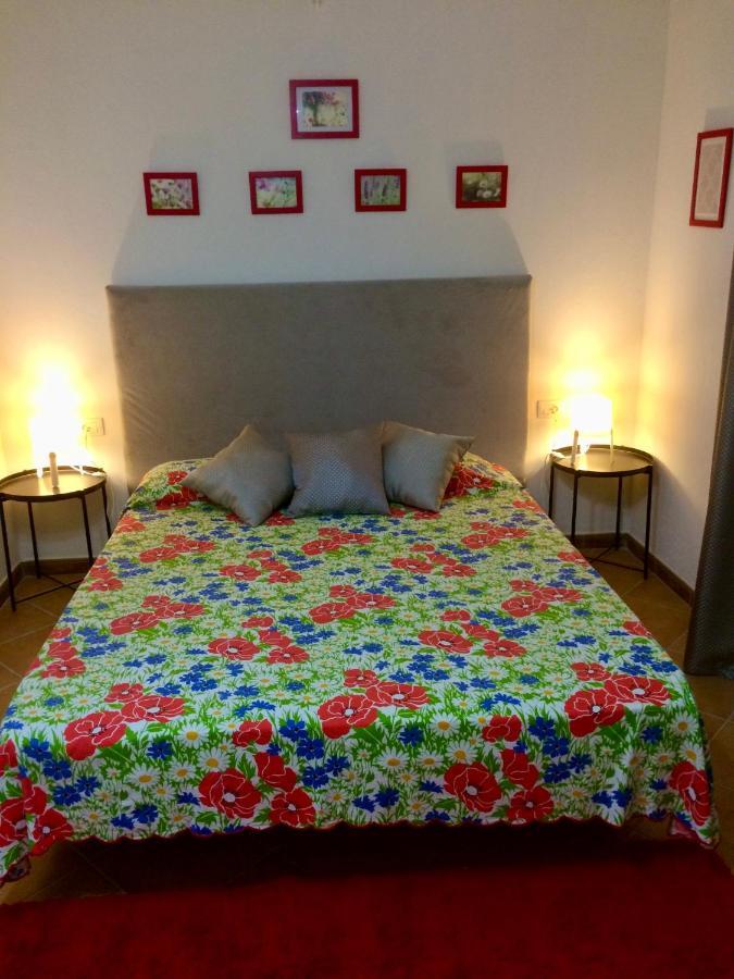 Guesthouse Villa Rosa Berat Exterior photo